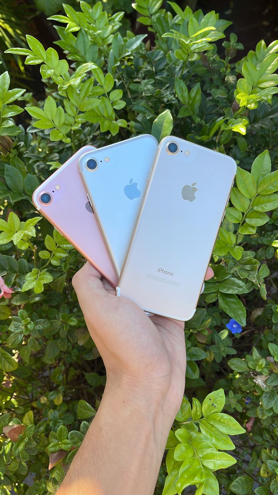 Iphone 7