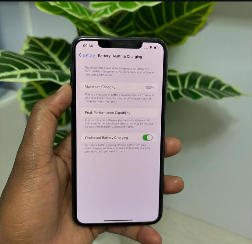Iphone 11 Pro Max